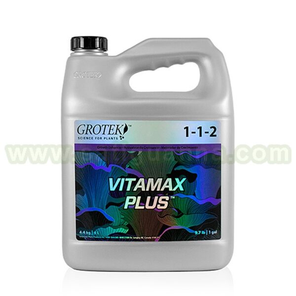 VITAMAX PLUS
