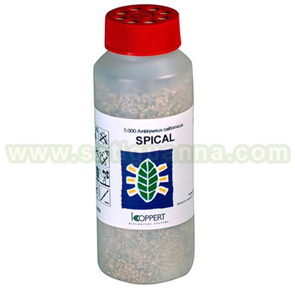 SPICAL 5000 AMBLYSEIUS