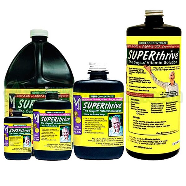 Super Thrive